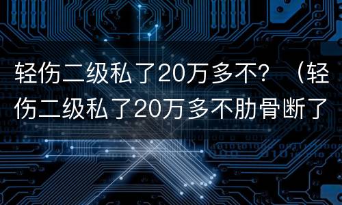 轻伤二级私了20万多不？（轻伤二级私了20万多不肋骨断了5根）
