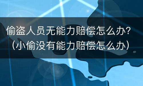 偷盗人员无能力赔偿怎么办？（小偷没有能力赔偿怎么办）