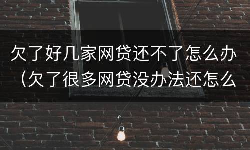 欠了好几家网贷还不了怎么办（欠了很多网贷没办法还怎么办）