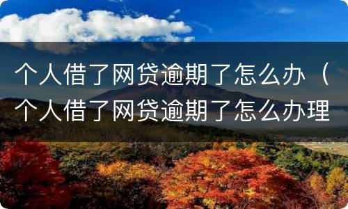 个人借了网贷逾期了怎么办（个人借了网贷逾期了怎么办理）