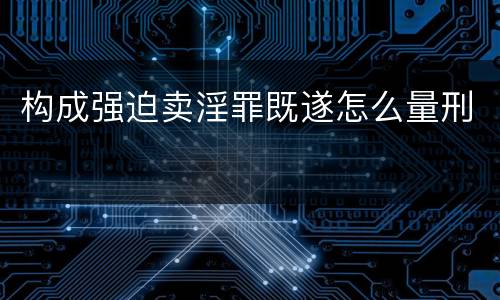 构成强迫卖淫罪既遂怎么量刑