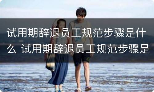 试用期辞退员工规范步骤是什么 试用期辞退员工规范步骤是什么意思