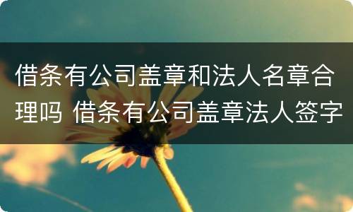 借条有公司盖章和法人名章合理吗 借条有公司盖章法人签字属什么性质