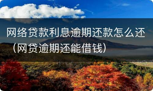 网络贷款利息逾期还款怎么还（网贷逾期还能借钱）