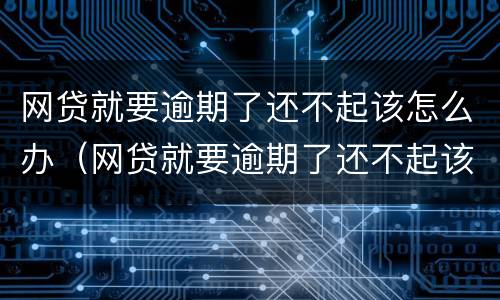 网贷就要逾期了还不起该怎么办（网贷就要逾期了还不起该怎么办呢）