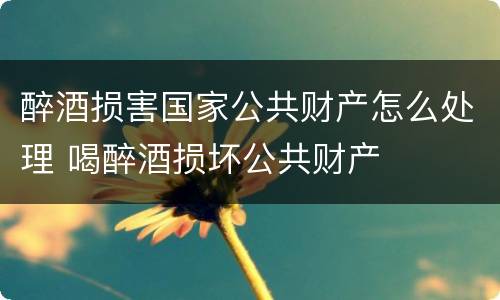 醉酒损害国家公共财产怎么处理 喝醉酒损坏公共财产