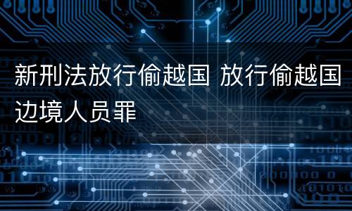 新刑法放行偷越国 放行偷越国边境人员罪