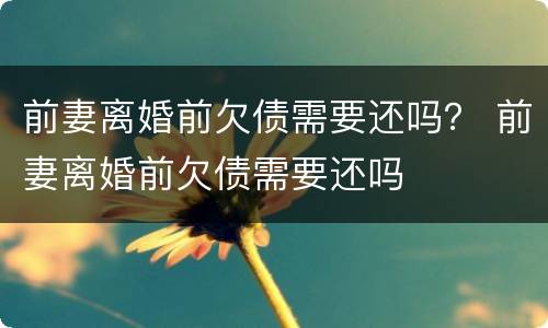 前妻离婚前欠债需要还吗？ 前妻离婚前欠债需要还吗