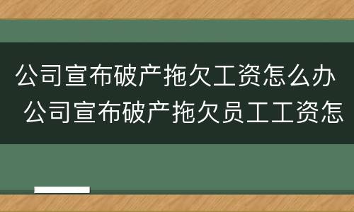 公司宣布破产拖欠工资怎么办 公司宣布破产拖欠员工工资怎么办