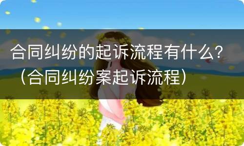 合同纠纷的起诉流程有什么？（合同纠纷案起诉流程）