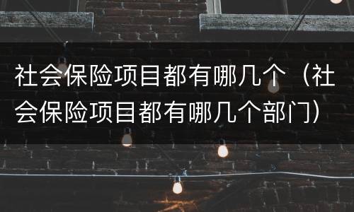 社会保险项目都有哪几个（社会保险项目都有哪几个部门）