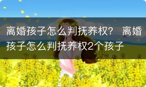 离婚孩子怎么判抚养权？ 离婚孩子怎么判抚养权2个孩子