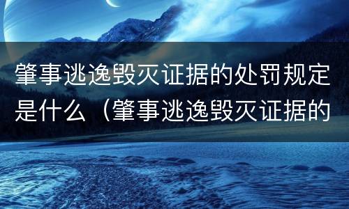 肇事逃逸毁灭证据的处罚规定是什么（肇事逃逸毁灭证据的处罚规定是什么意思）