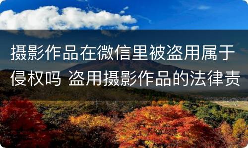 摄影作品在微信里被盗用属于侵权吗 盗用摄影作品的法律责任