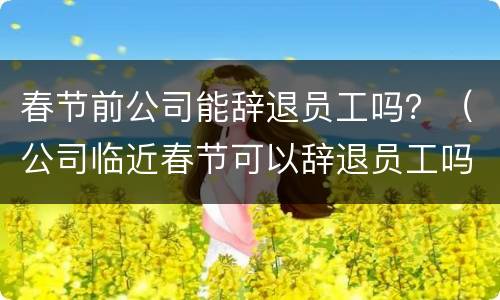 春节前公司能辞退员工吗？（公司临近春节可以辞退员工吗）