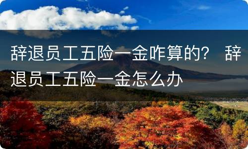 辞退员工五险一金咋算的？ 辞退员工五险一金怎么办