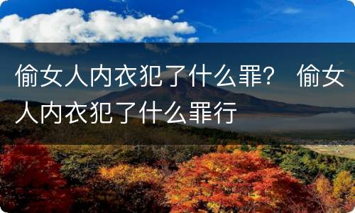 偷女人内衣犯了什么罪？ 偷女人内衣犯了什么罪行