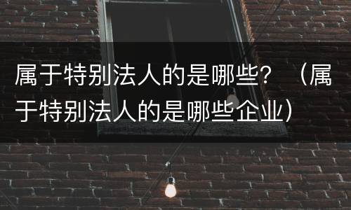属于特别法人的是哪些？（属于特别法人的是哪些企业）