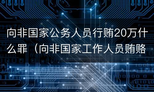 向非国家公务人员行贿20万什么罪（向非国家工作人员贿赂罪）
