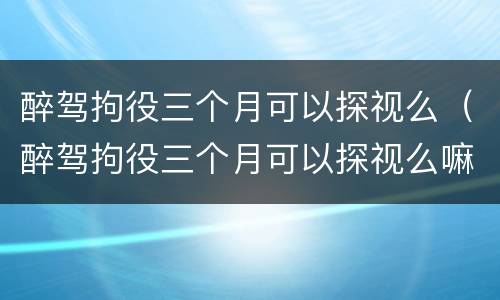 醉驾拘役三个月可以探视么（醉驾拘役三个月可以探视么嘛）