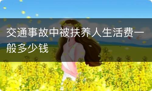 交通事故中被扶养人生活费一般多少钱