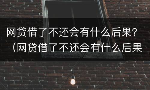 网贷借了不还会有什么后果？（网贷借了不还会有什么后果）