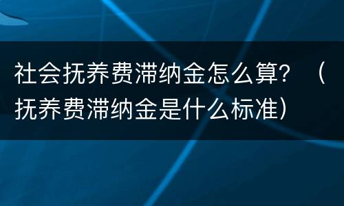 社会抚养费滞纳金怎么算？（抚养费滞纳金是什么标准）