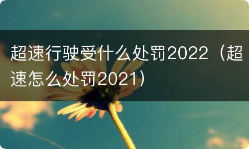 超速行驶受什么处罚2022（超速怎么处罚2021）
