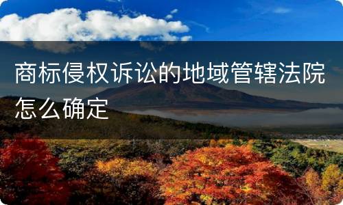 商标侵权诉讼的地域管辖法院怎么确定