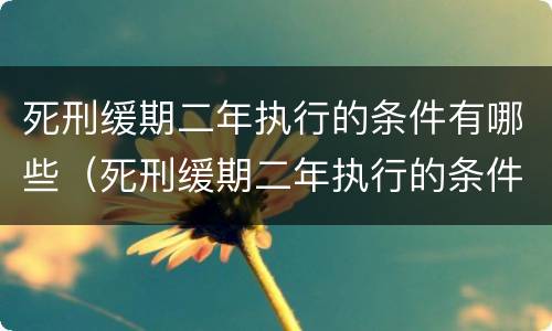 死刑缓期二年执行的条件有哪些（死刑缓期二年执行的条件有哪些规定）
