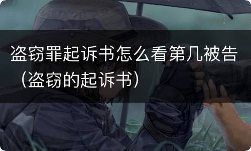 盗窃罪起诉书怎么看第几被告（盗窃的起诉书）