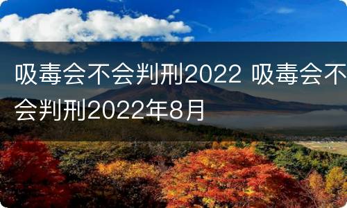 吸毒会不会判刑2022 吸毒会不会判刑2022年8月