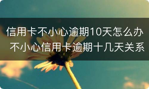 信用卡不小心逾期10天怎么办 不小心信用卡逾期十几天关系大吗
