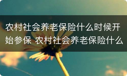 农村社会养老保险什么时候开始参保 农村社会养老保险什么时候开始参保的