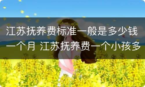 江苏抚养费标准一般是多少钱一个月 江苏抚养费一个小孩多少钱