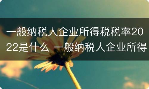 一般纳税人企业所得税税率2022是什么 一般纳税人企业所得税2021最新政策