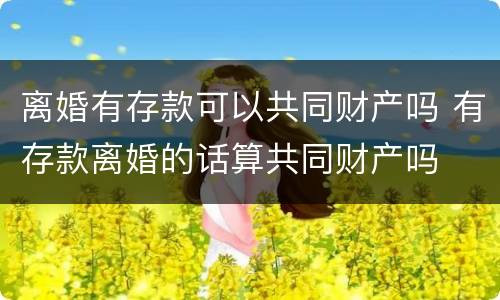 离婚有存款可以共同财产吗 有存款离婚的话算共同财产吗