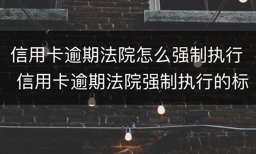 信用卡逾期法院怎么强制执行 信用卡逾期法院强制执行的标准