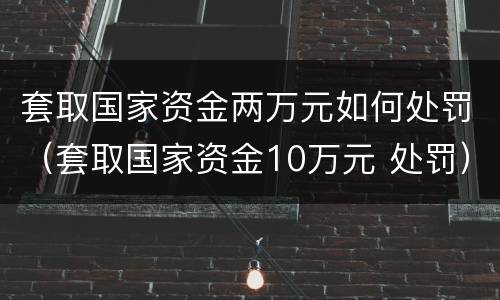 套取国家资金两万元如何处罚（套取国家资金10万元 处罚）