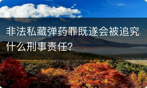 非法私藏弹药罪既遂会被追究什么刑事责任？