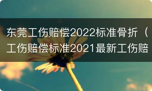 东莞工伤赔偿2022标准骨折（工伤赔偿标准2021最新工伤赔偿标准东莞）