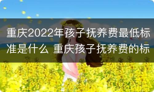 重庆2022年孩子抚养费最低标准是什么 重庆孩子抚养费的标准是多少