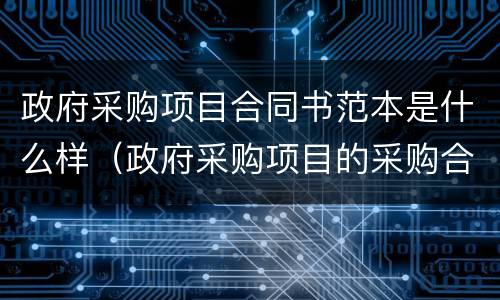 政府采购项目合同书范本是什么样（政府采购项目的采购合同）