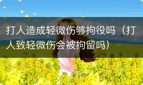 打人造成轻微伤够拘役吗（打人致轻微伤会被拘留吗）