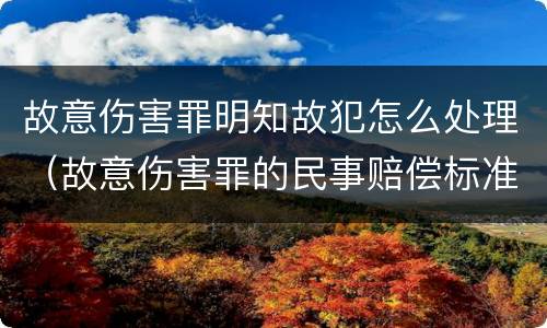 故意伤害罪明知故犯怎么处理（故意伤害罪的民事赔偿标准）