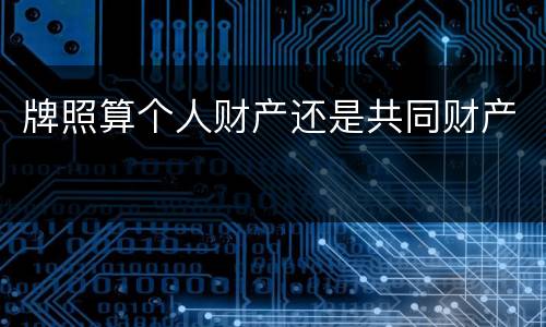 牌照算个人财产还是共同财产