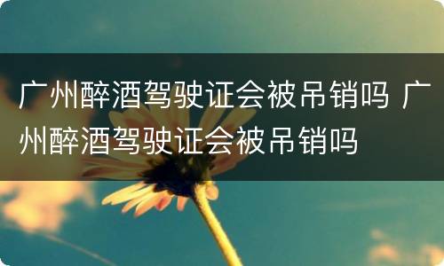 广州醉酒驾驶证会被吊销吗 广州醉酒驾驶证会被吊销吗