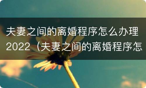 夫妻之间的离婚程序怎么办理2022（夫妻之间的离婚程序怎么办理2022结婚）