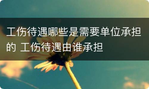 工伤待遇哪些是需要单位承担的 工伤待遇由谁承担