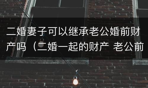 二婚妻子可以继承老公婚前财产吗（二婚一起的财产 老公前妻的孩子能继承吗?）